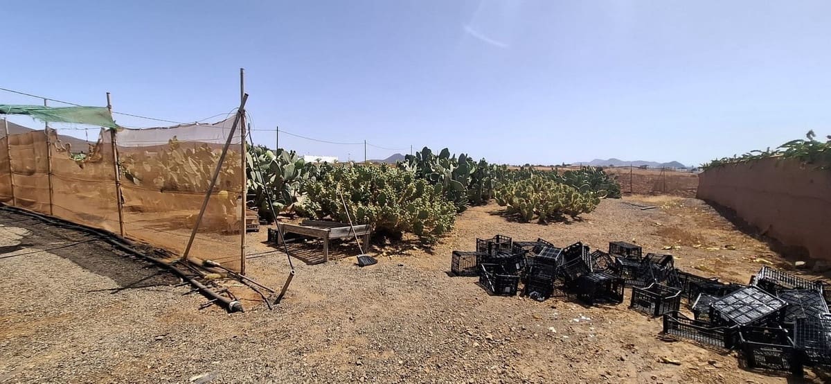 3 sypialnia Finka/Dom wiejski na sprzedaż w Tuineje z garażem - 330 000 € (Ref: 9149262)