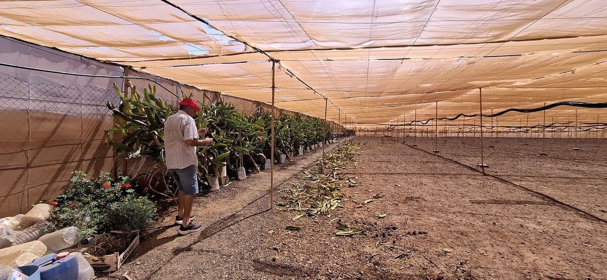 3 sypialnia Finka/Dom wiejski na sprzedaż w Tuineje z garażem - 330 000 € (Ref: 9149262)