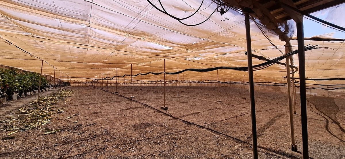 3 sypialnia Finka/Dom wiejski na sprzedaż w Tuineje z garażem - 330 000 € (Ref: 9149262)