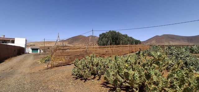 3 soveværelse Finca/Landehus til salg i Tuineje med garage - € 330.000 (Ref: 9149262)