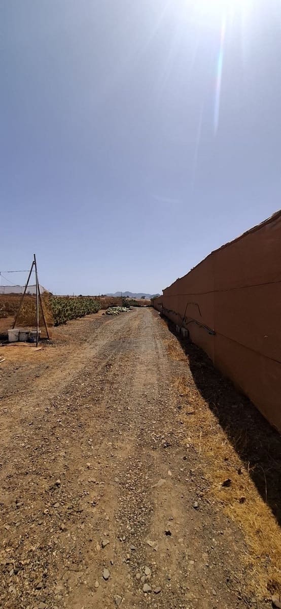 3 soveværelse Finca/Landehus til salg i Tuineje med garage - € 330.000 (Ref: 9149262)