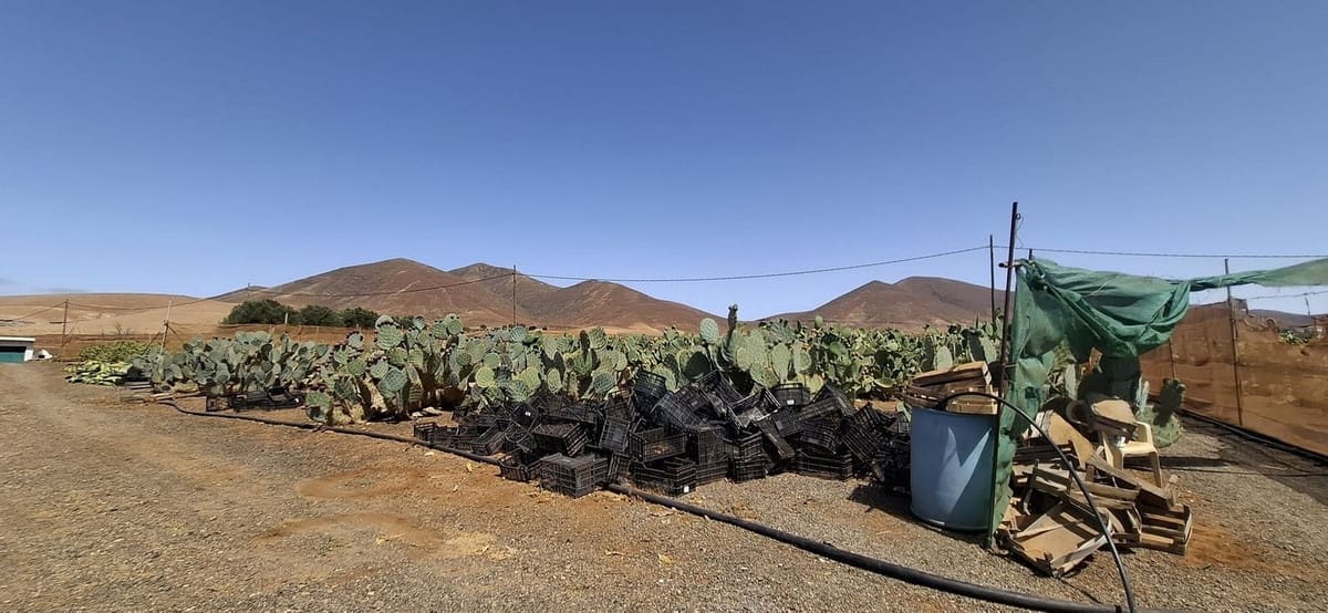 3 soveværelse Finca/Landehus til salg i Tuineje med garage - € 330.000 (Ref: 9149262)