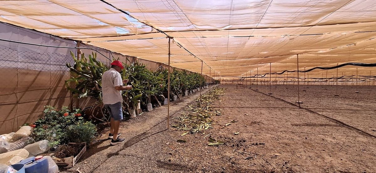 3 soveværelse Finca/Landehus til salg i Tuineje med garage - € 330.000 (Ref: 9149262)