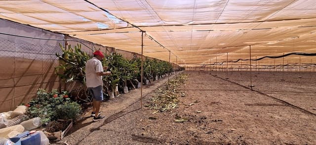 3 makuuhuone Maalaistalo myytävänä paikassa Tuineje mukana 
autotalli - 330 000 € (Ref: 9149262)