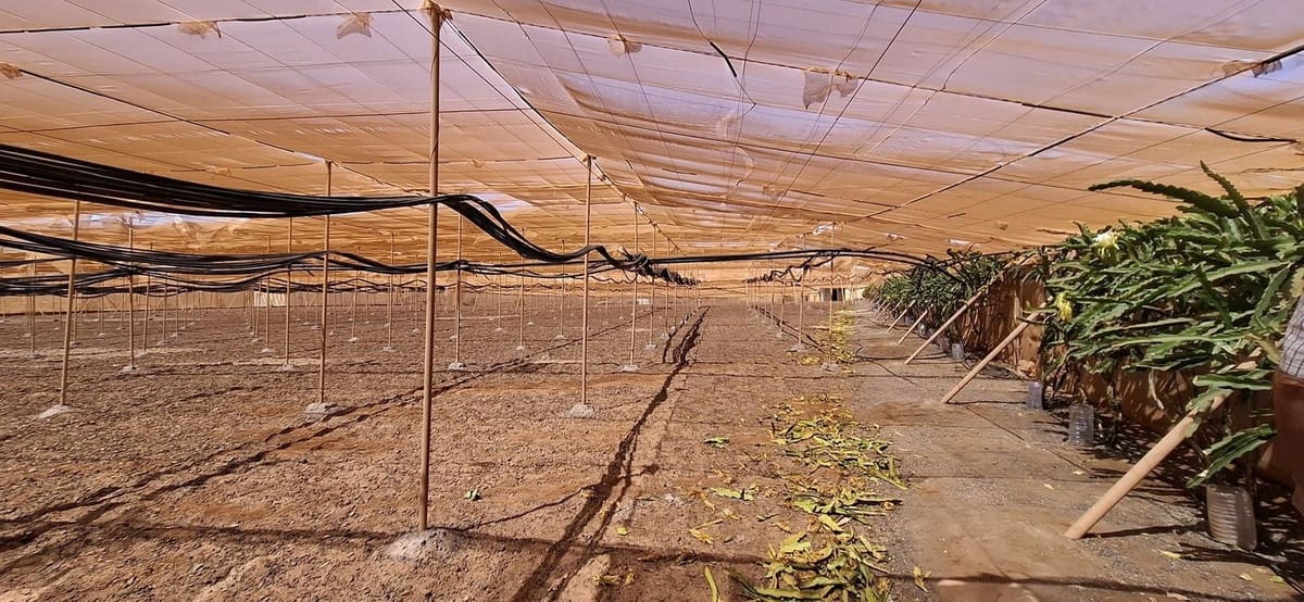 3 soveværelse Finca/Landehus til salg i Tuineje med garage - € 330.000 (Ref: 9149262)