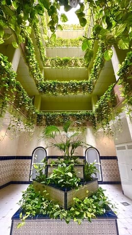 1 sypialnia Penthouse na sprzedaż w Avenida Habaneras - Curva de Palangre, Torrevieja - 189 900 € (Ref: 9165788)