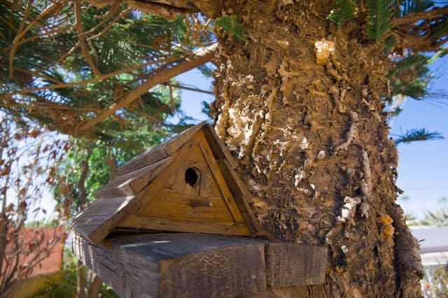 Chalet de 2 habitaciones en La Siesta, Torrevieja en venta - 255.000 € (Ref: 9312656)