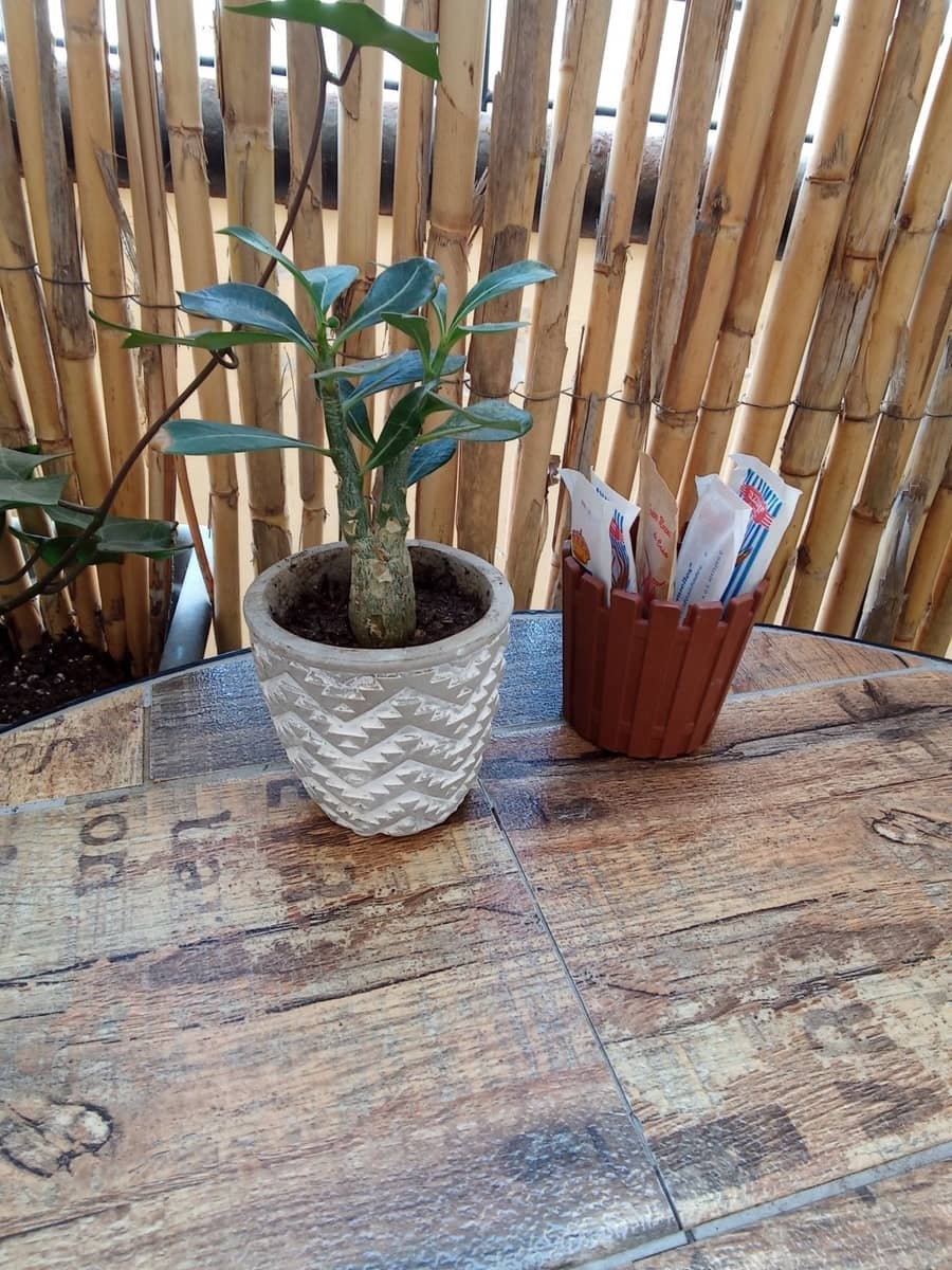Gewerbe zu verkaufen in Corralejo - 55.000 € (Ref: 9359127)