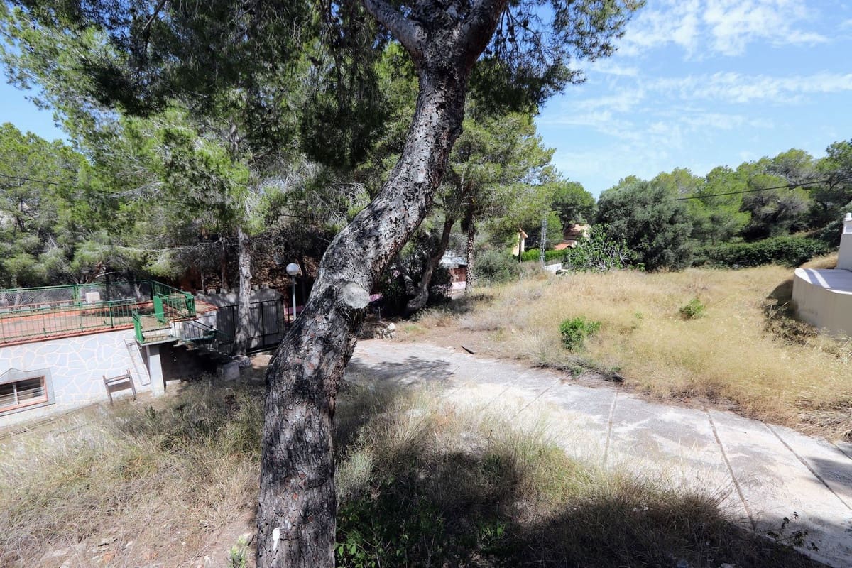 5 soveværelse Villa til salg i Canada de San Pedro med swimmingpool garage - € 375.000 (Ref: 9359150)