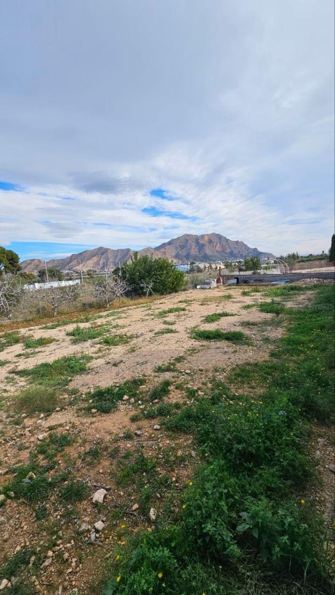 Chalet de 4 habitaciones en Orihuela en venta - 449.000 € (Ref: 9359304)