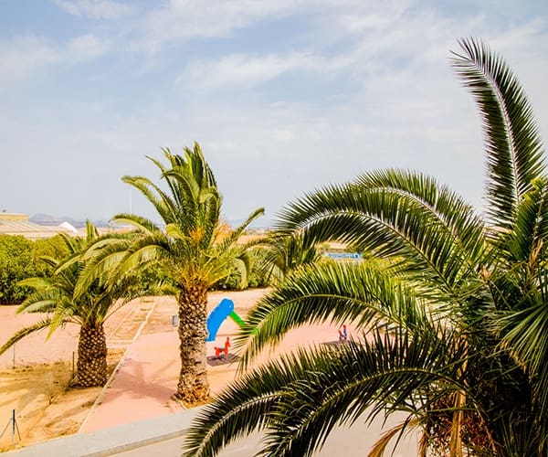 2 slaapkamer Appartement te koop in Torrevieja - € 142.000 (Ref: 9359342)