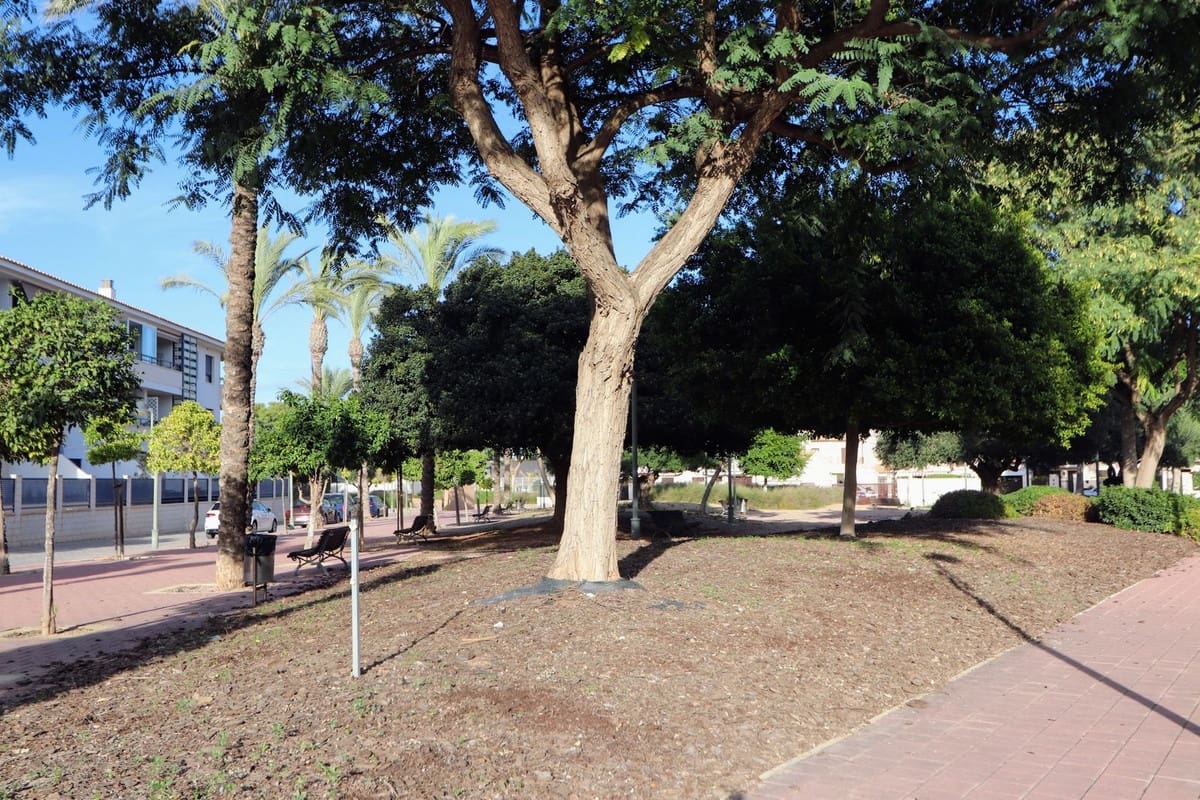 3 slaapkamer Halfvrijstaande villa te koop in San Cayetano met zwembad garage - € 165.000 (Ref: 9390491)