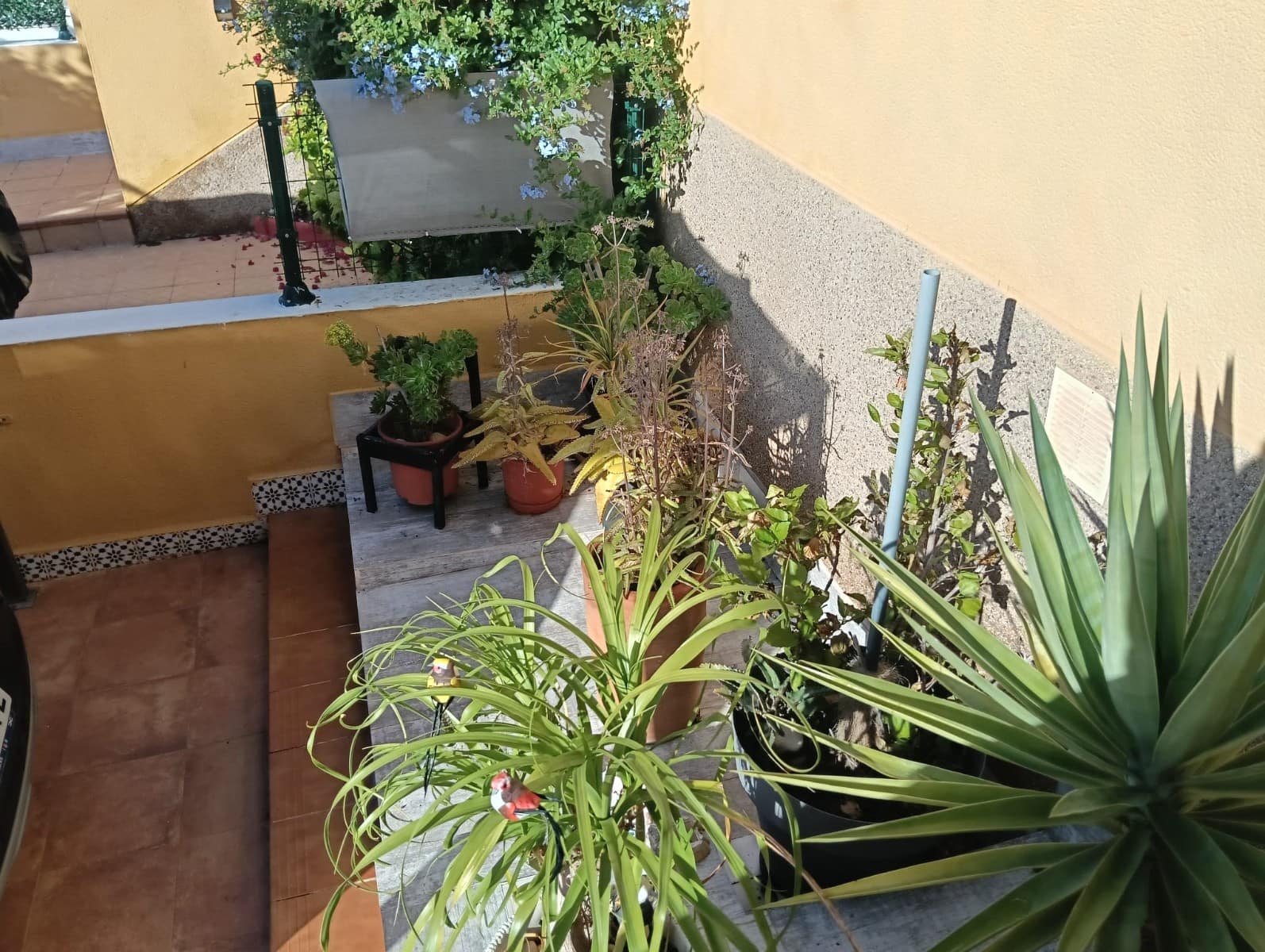 2 chambre Appartement à vendre à Los Montesinos avec piscine - 185 000 € (Ref: 9470322)
