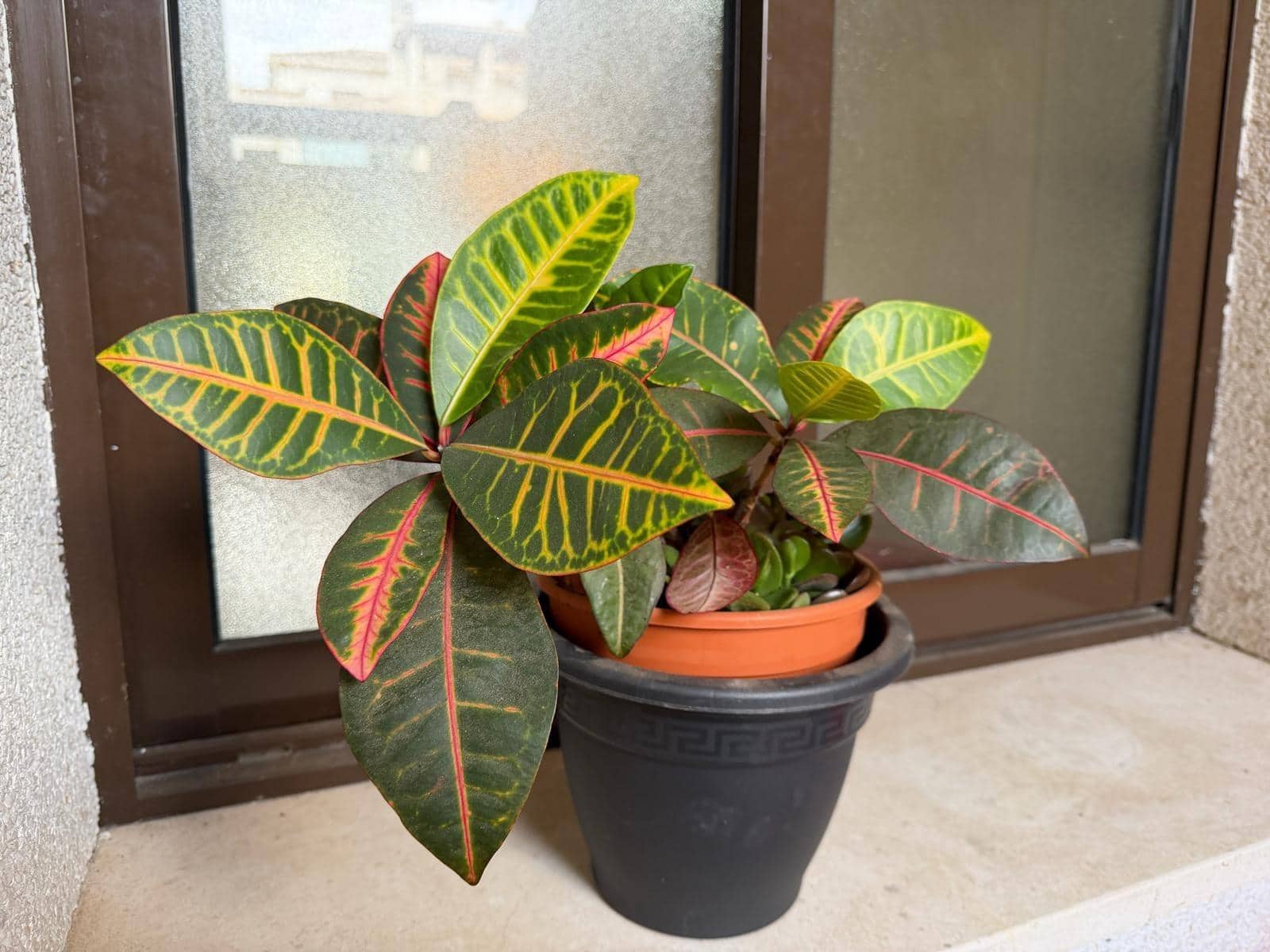 2 bedroom Apartment for sale in Orihuela Costa with pool - € 159,900 (Ref: 9475531)