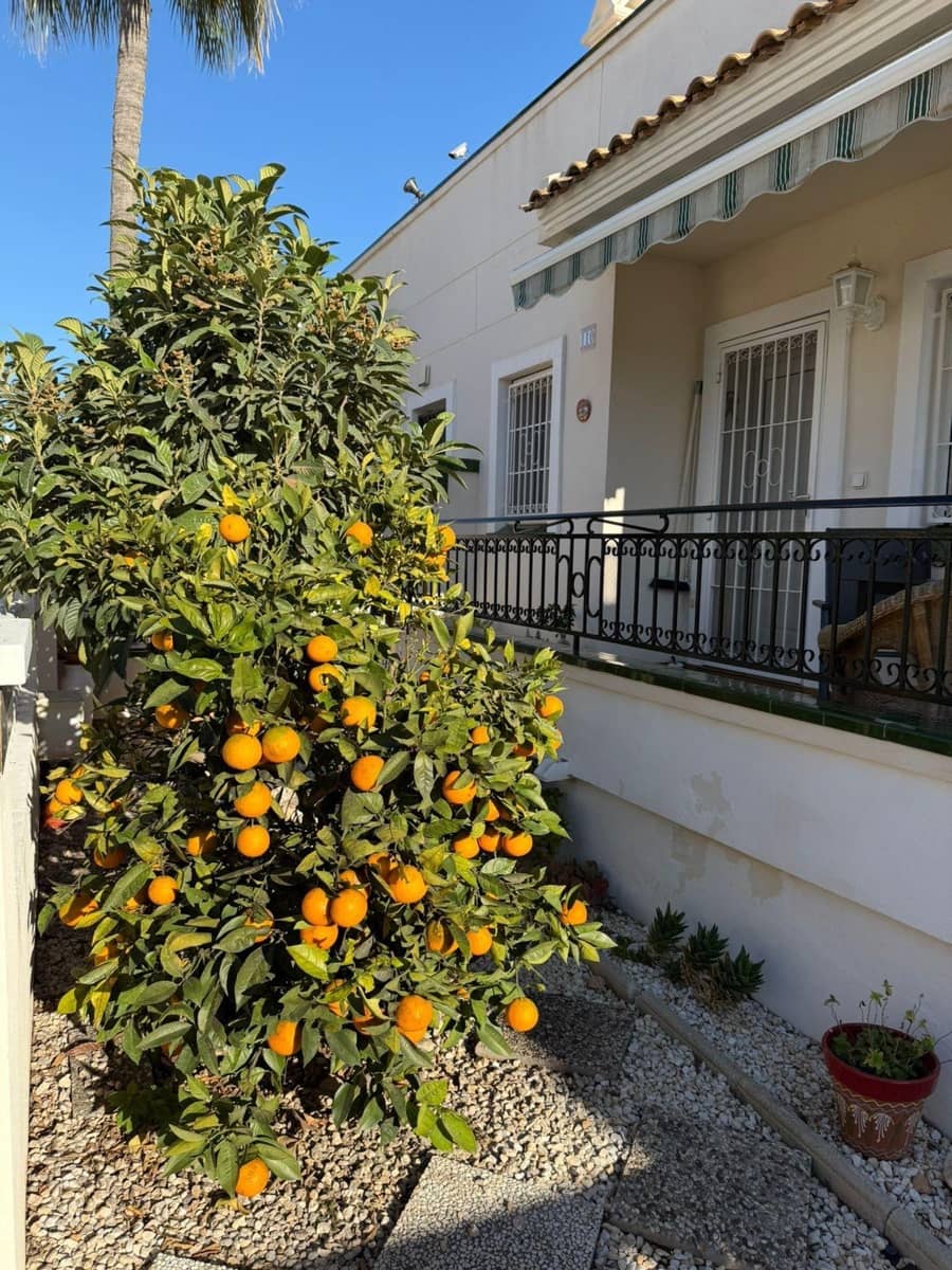 Pareado de 3 habitaciones en Orihuela Costa en venta con piscina - 245.000 € (Ref: 9504025)