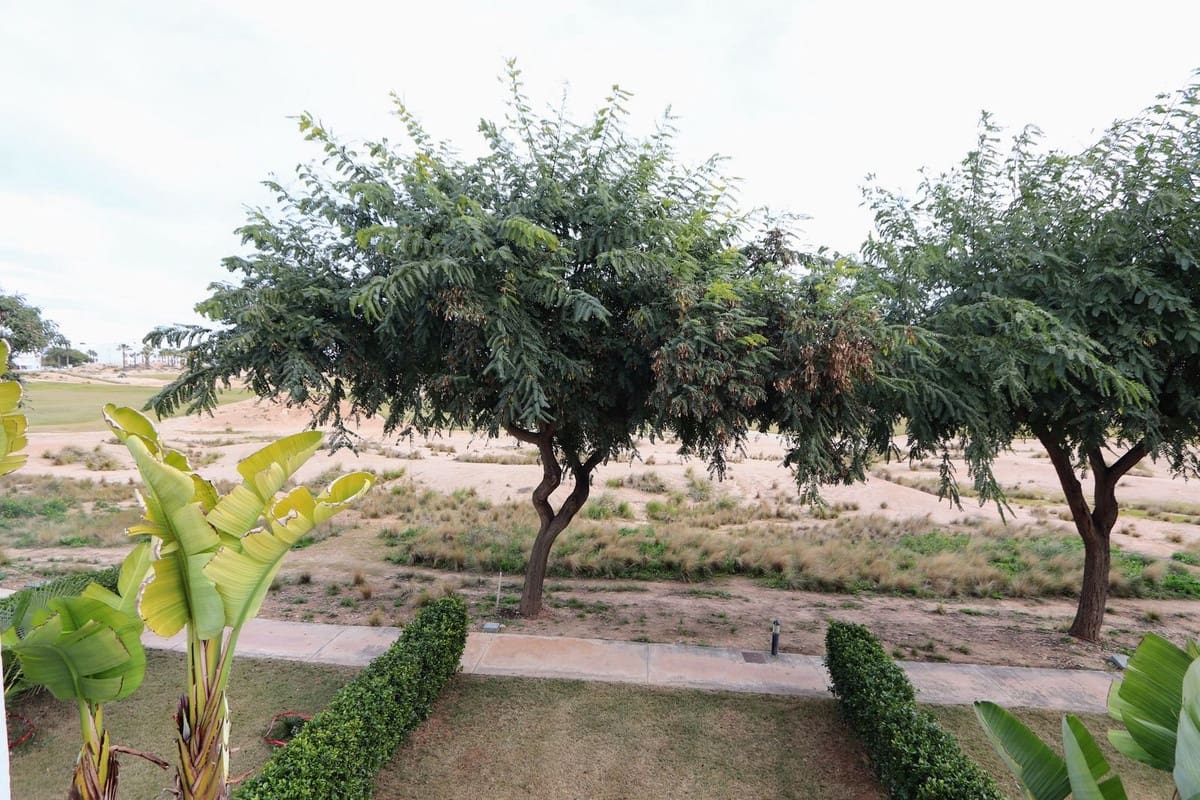 2 bedroom Apartment for sale in Terrazas de la Torre with pool garage - € 125,000 (Ref: 9533484)