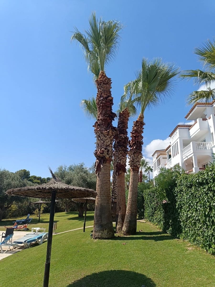 2 quarto Apartamento para venda em Villamartin com piscina - 219 000 € (Ref: 9570949)