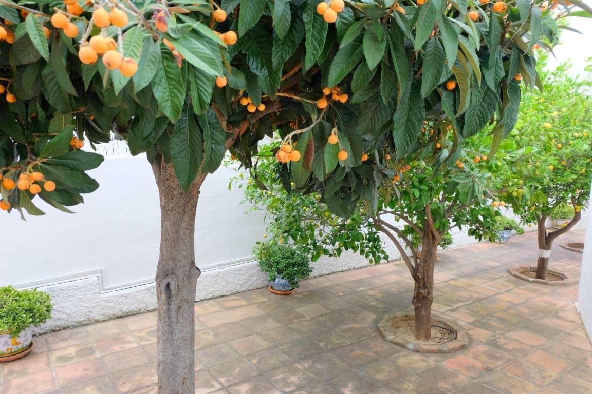 5 bedroom Villa for sale in Mijas with pool garage - € 1,200,000 (Ref: 9599403)