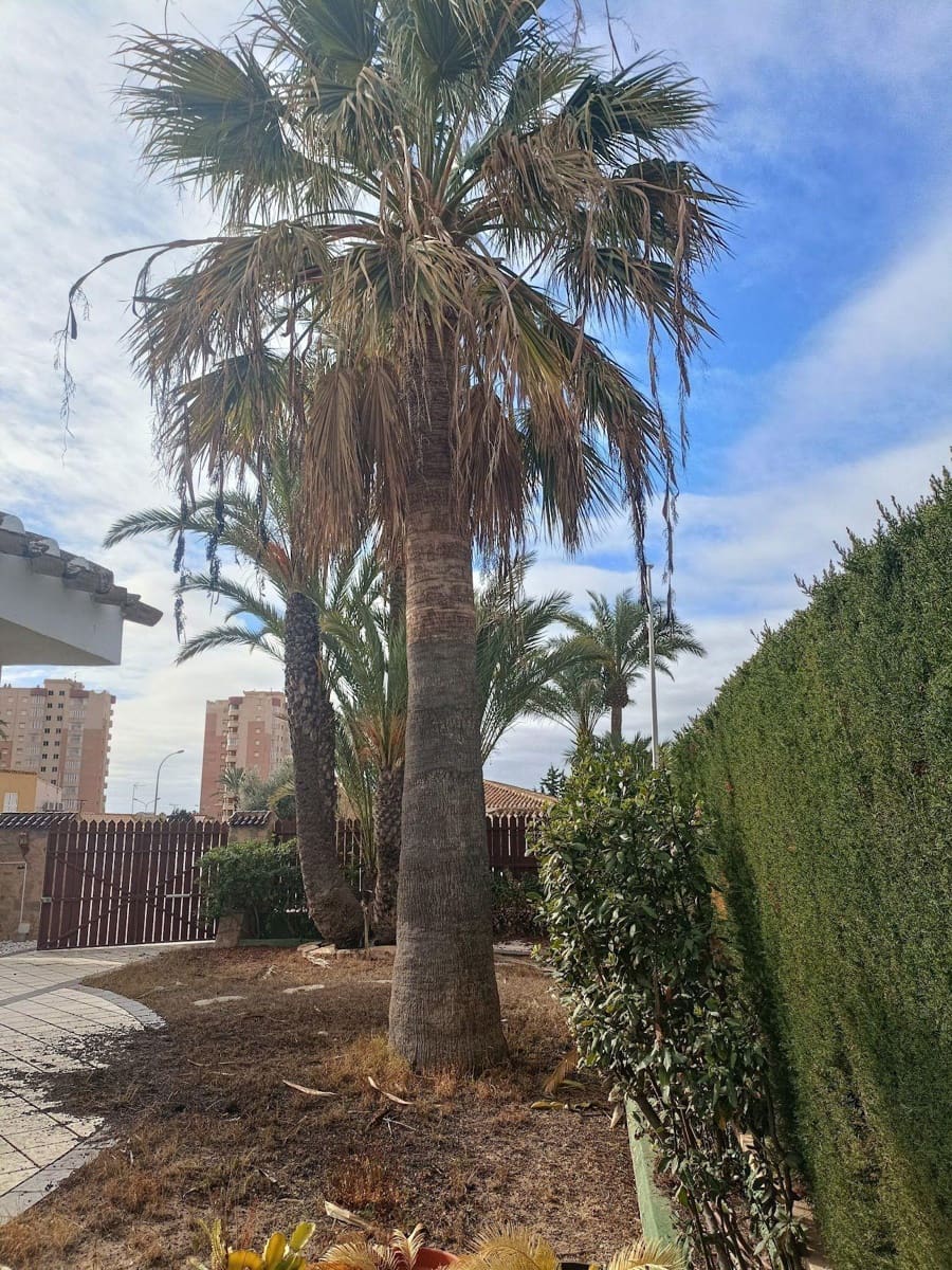 4 camera da letto Villa in vendita in Orihuela Costa con piscina - 650.000 € (Rif: 9714808)