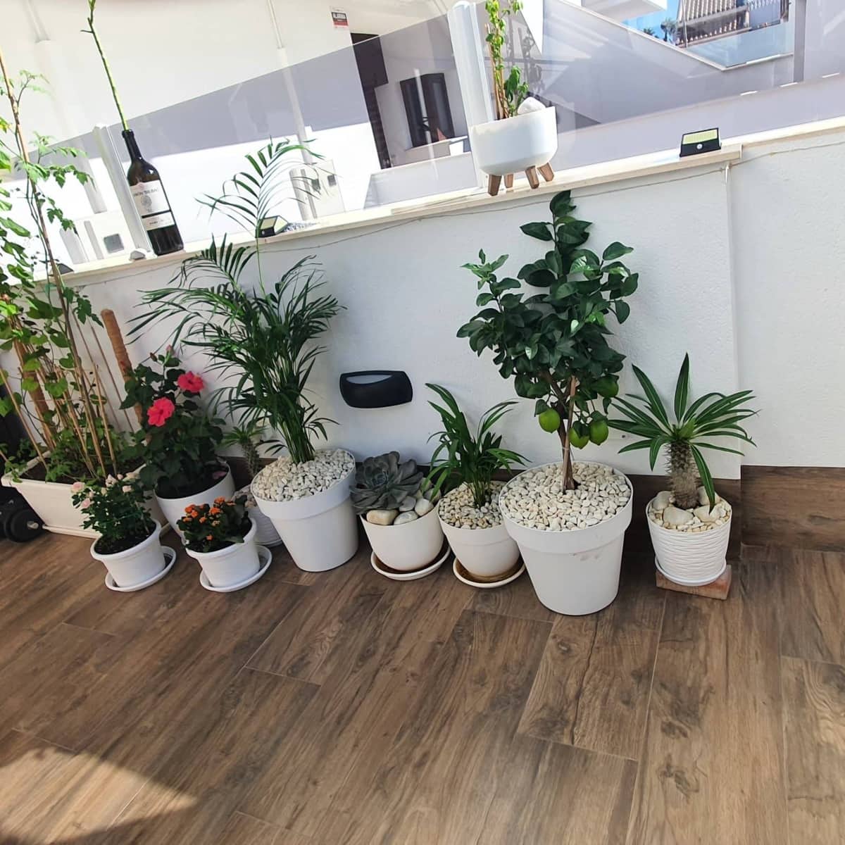 2 Zimmer Villa zu verkaufen in Lo Pagan mit Pool Garage - 336.800 € (Ref: 9719795)