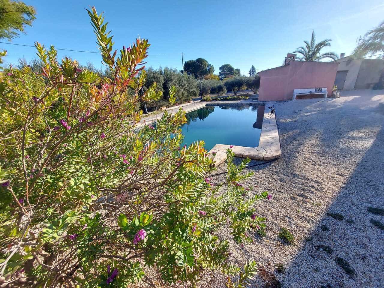 3 bedroom Villa for sale in Calasparra - € 190,000 (Ref: 9721519)