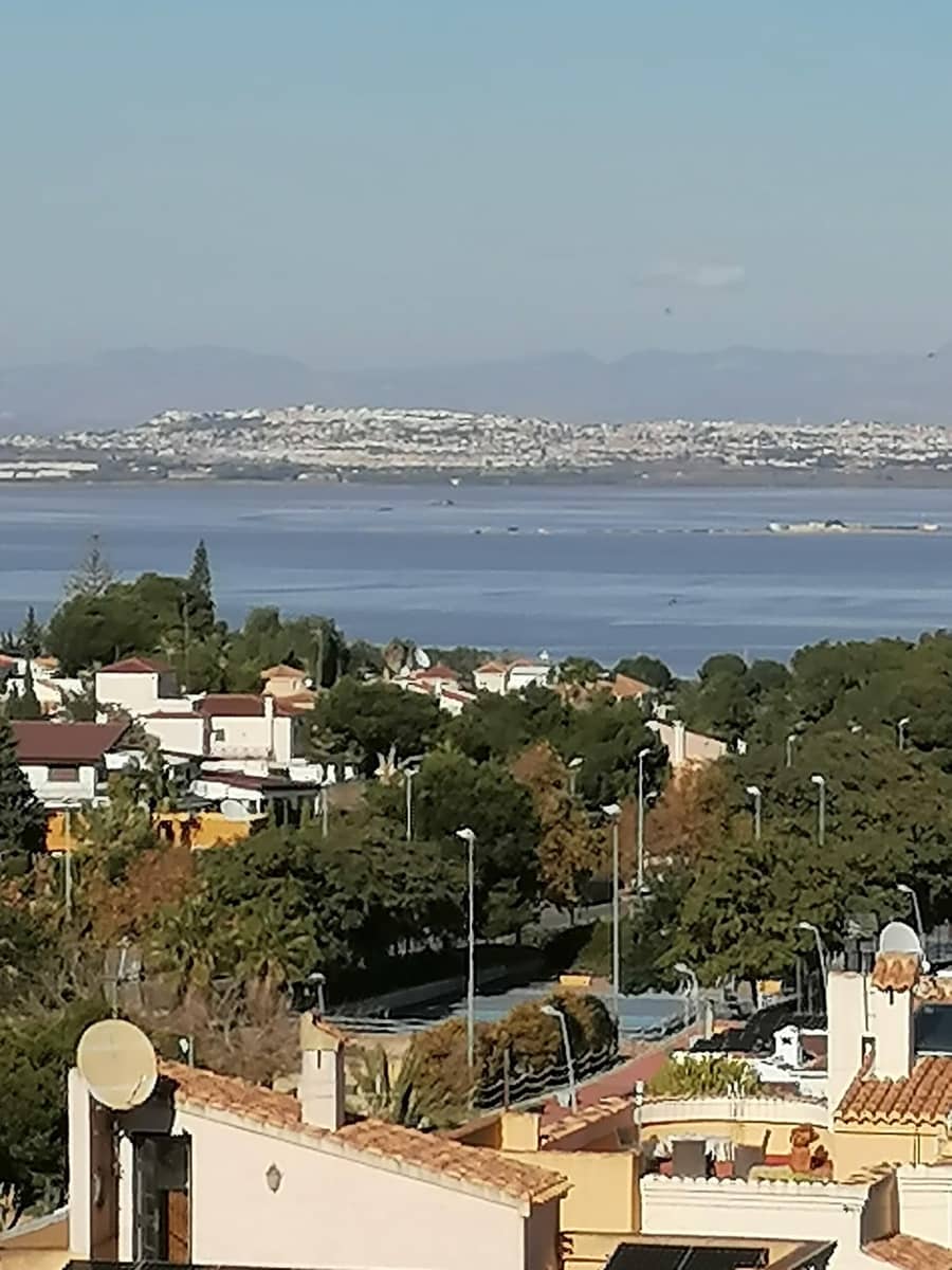 7 chambre Villa/Maison à vendre à Torrevieja avec piscine - 545 000 € (Ref: 9731924)