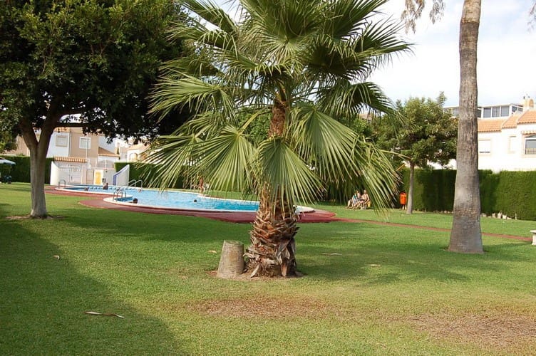 2 slaapkamer Huis te koop in Torrevieja - € 209.900 (Ref: 9731947)