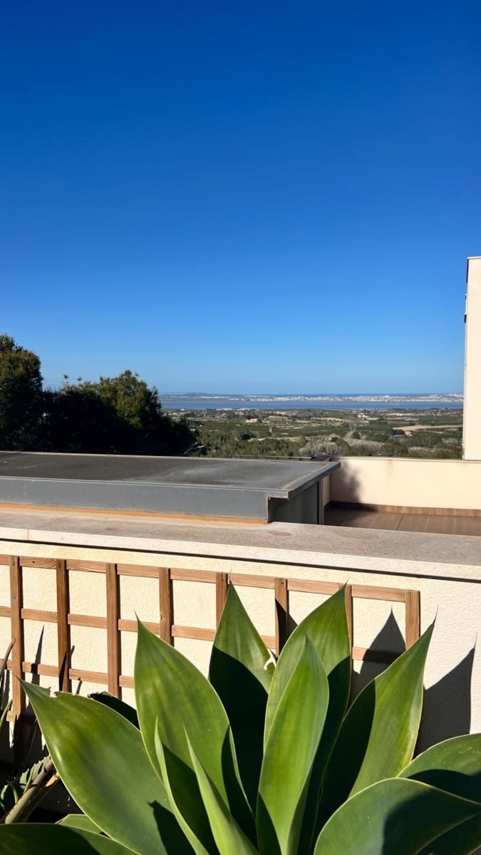 2 chambre Appartement à vendre à San Miguel de Salinas avec piscine - 329 900 € (Ref: 9745259)