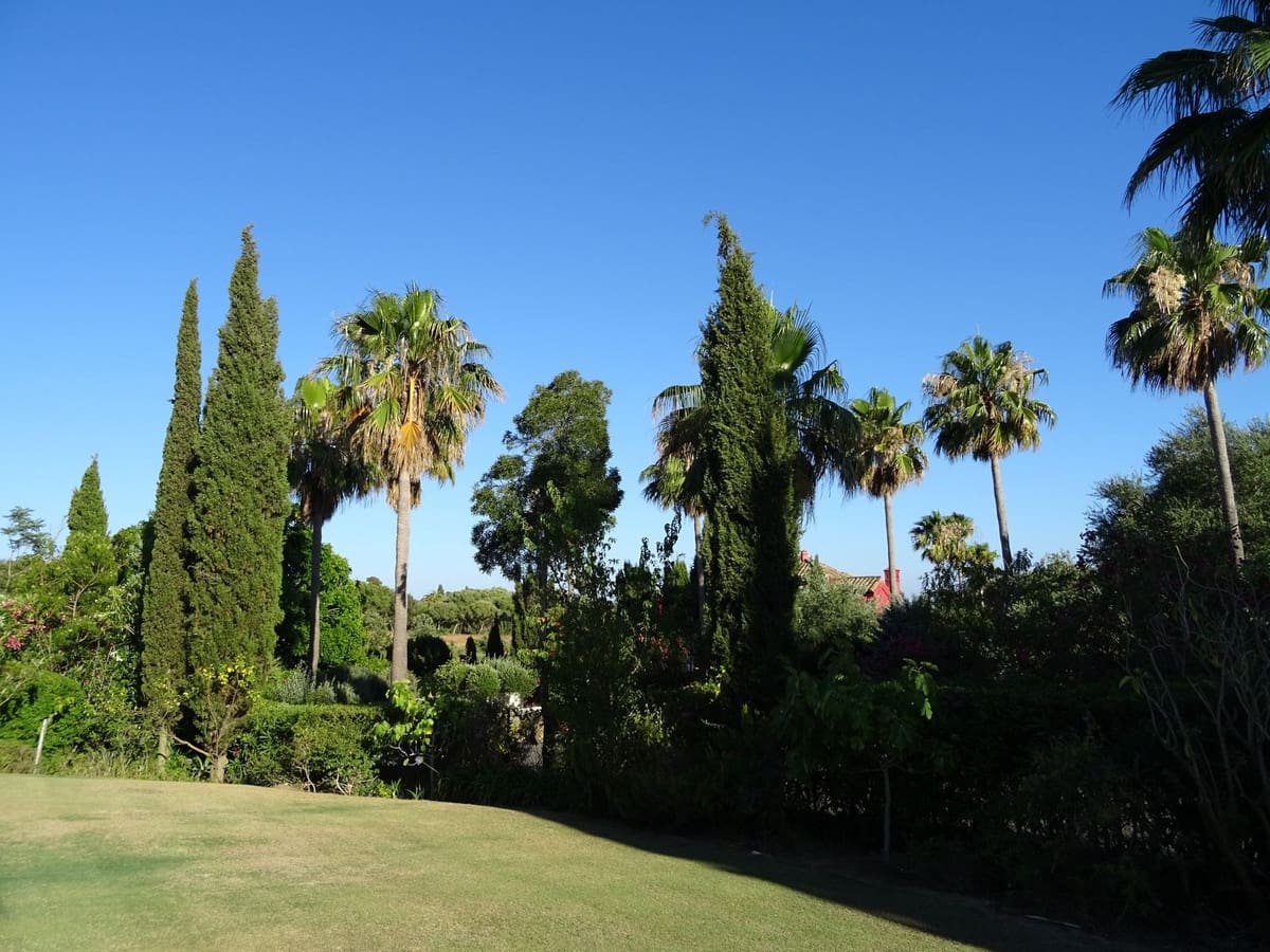 4 chambre Villa/Maison à vendre à Torreguadiaro avec piscine - 1 700 000 € (Ref: 9763594)