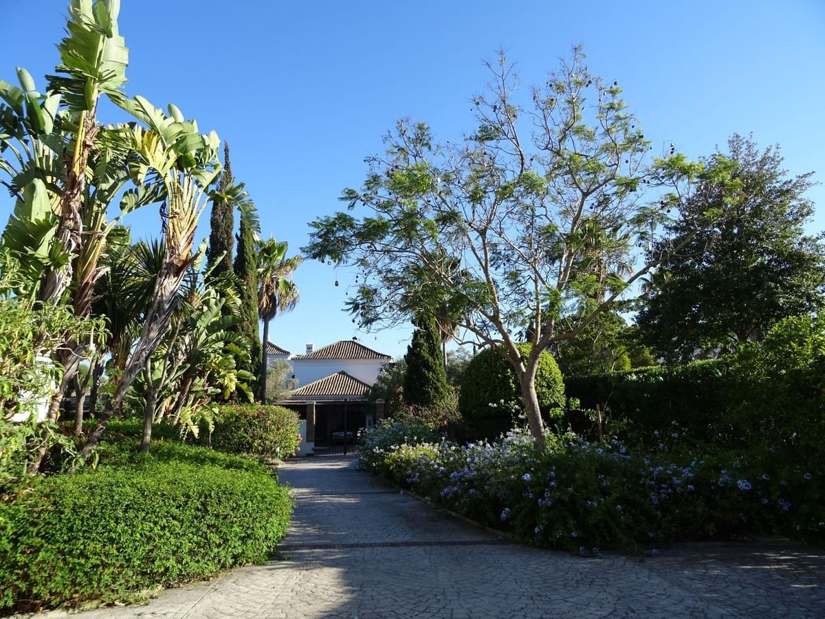 4 chambre Villa/Maison à vendre à Torreguadiaro avec piscine - 1 700 000 € (Ref: 9763594)