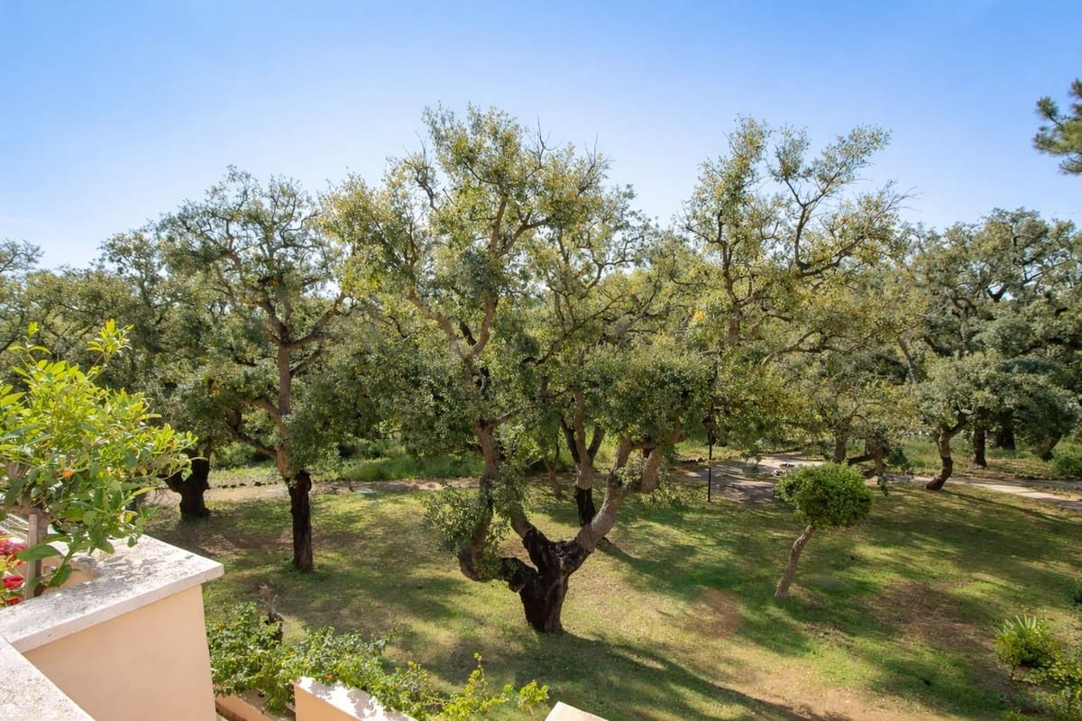 2 chambre Appartement à vendre à Elviria avec piscine - 460 000 € (Ref: 9781367)