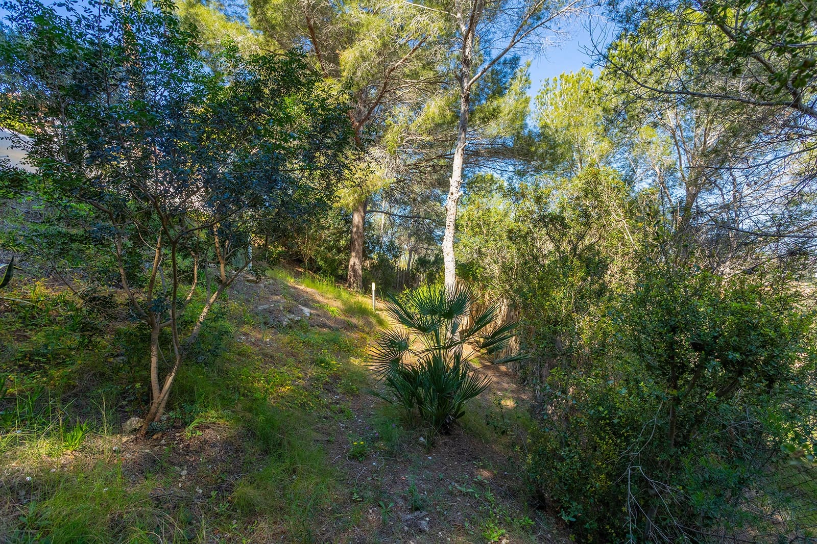 3 Zimmer Villa zu verkaufen in Orihuela - 499.000 € (Ref: 9807991)