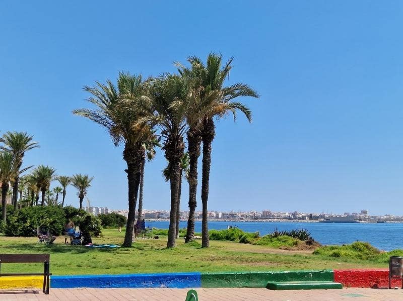 2 sovrum Takvåning till salu i Torrevieja med pool - 258 150 € (Ref: 9811443)