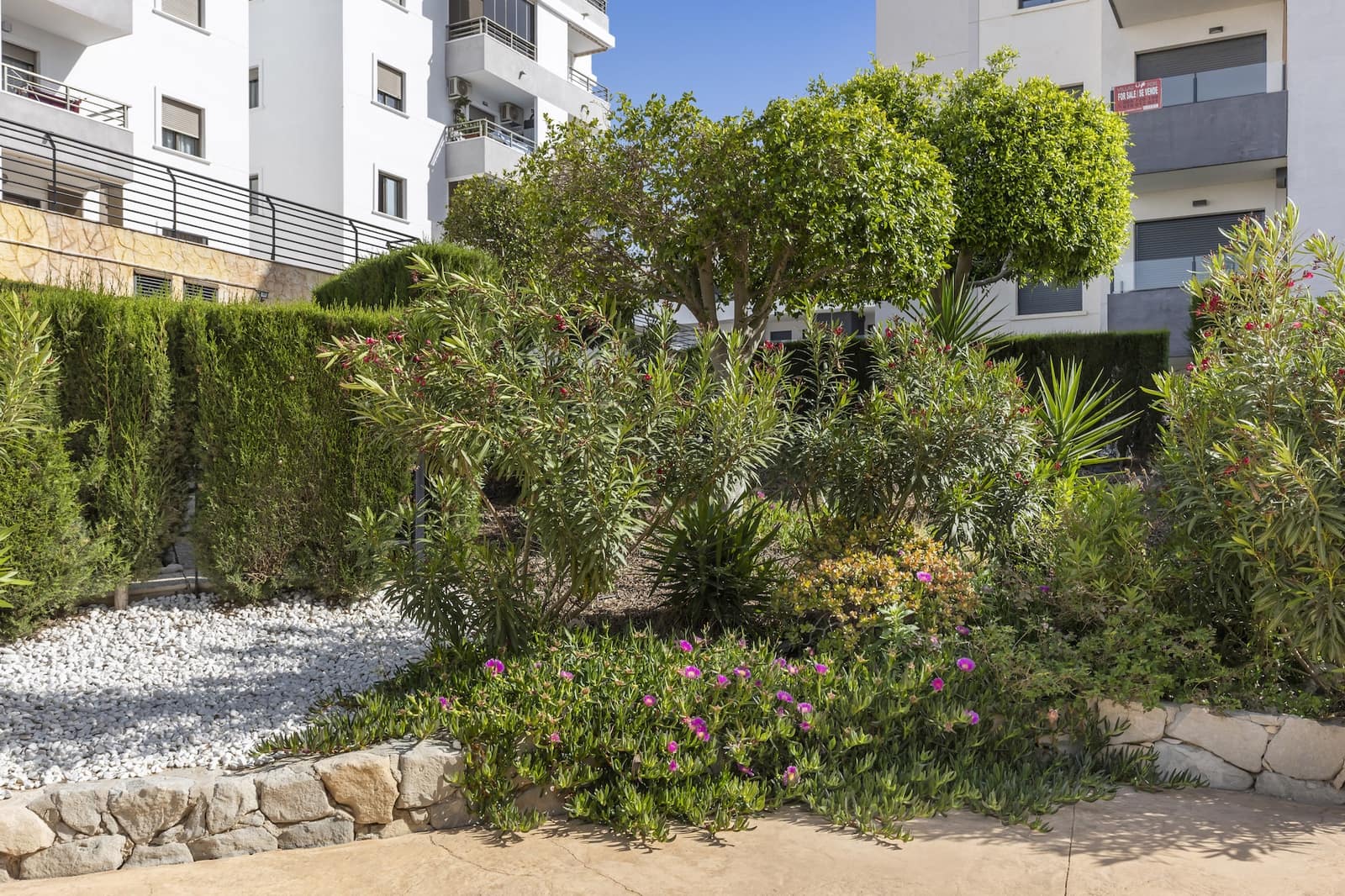 2 soverom Leilighet til salgs i San Miguel de Salinas med svømmebasseng - € 173 000 (Ref: 9815767)