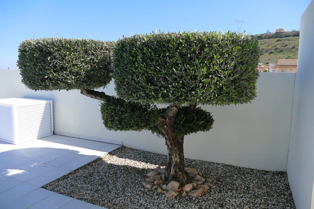 4 Zimmer Villa zu verkaufen in Benijofar - 675.000 € (Ref: 9824897)