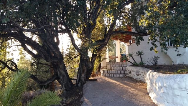 9 slaapkamer Appartement te koop in Mijas met zwembad - € 1.800.000 (Ref: 9828900)