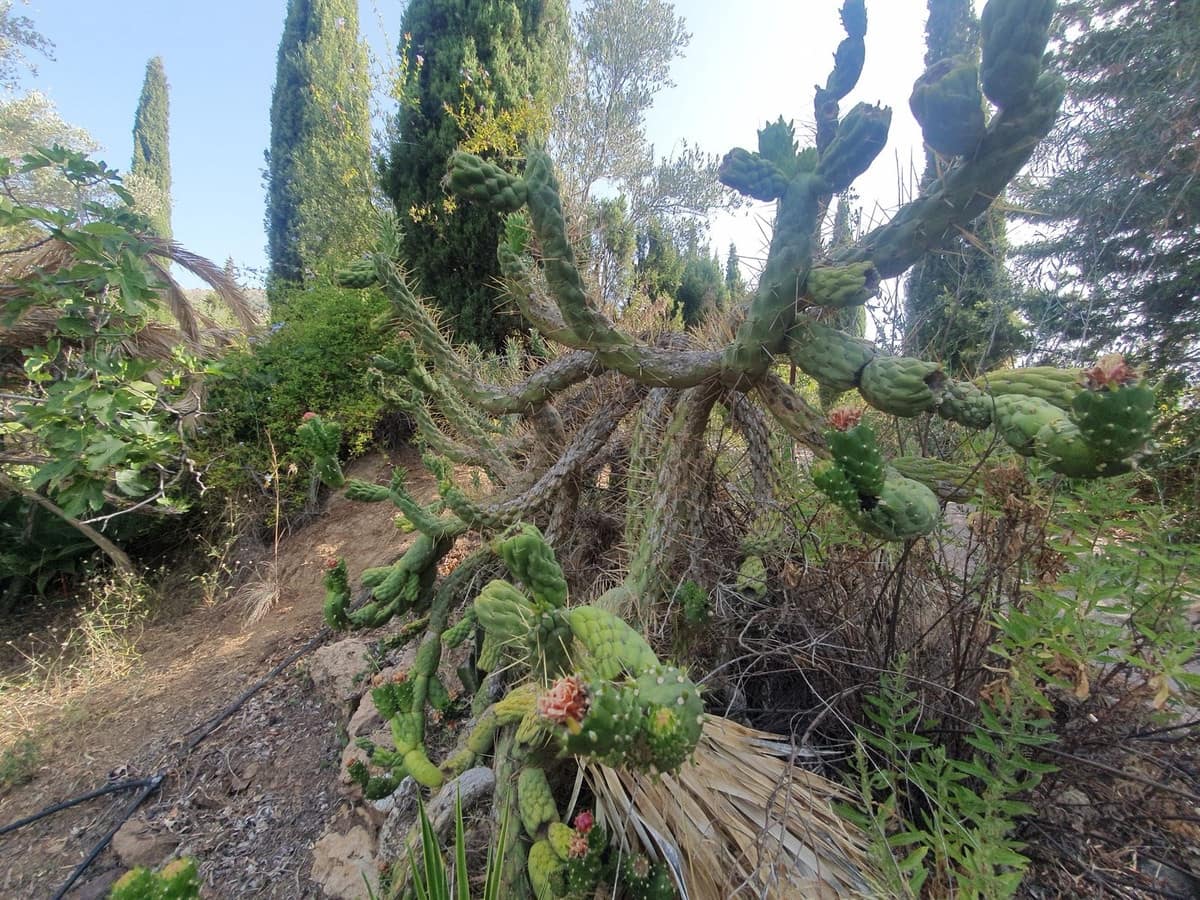 9 slaapkamer Appartement te koop in Mijas met zwembad - € 1.800.000 (Ref: 9828900)
