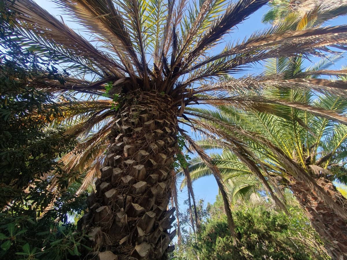 9 slaapkamer Appartement te koop in Mijas met zwembad - € 1.800.000 (Ref: 9828900)