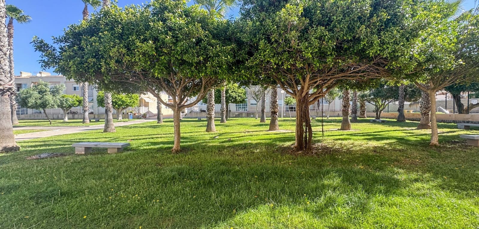 2 soveværelse Lejlighed til salg i Torrevieja med swimmingpool - € 169.900 (Ref: 9836261)
