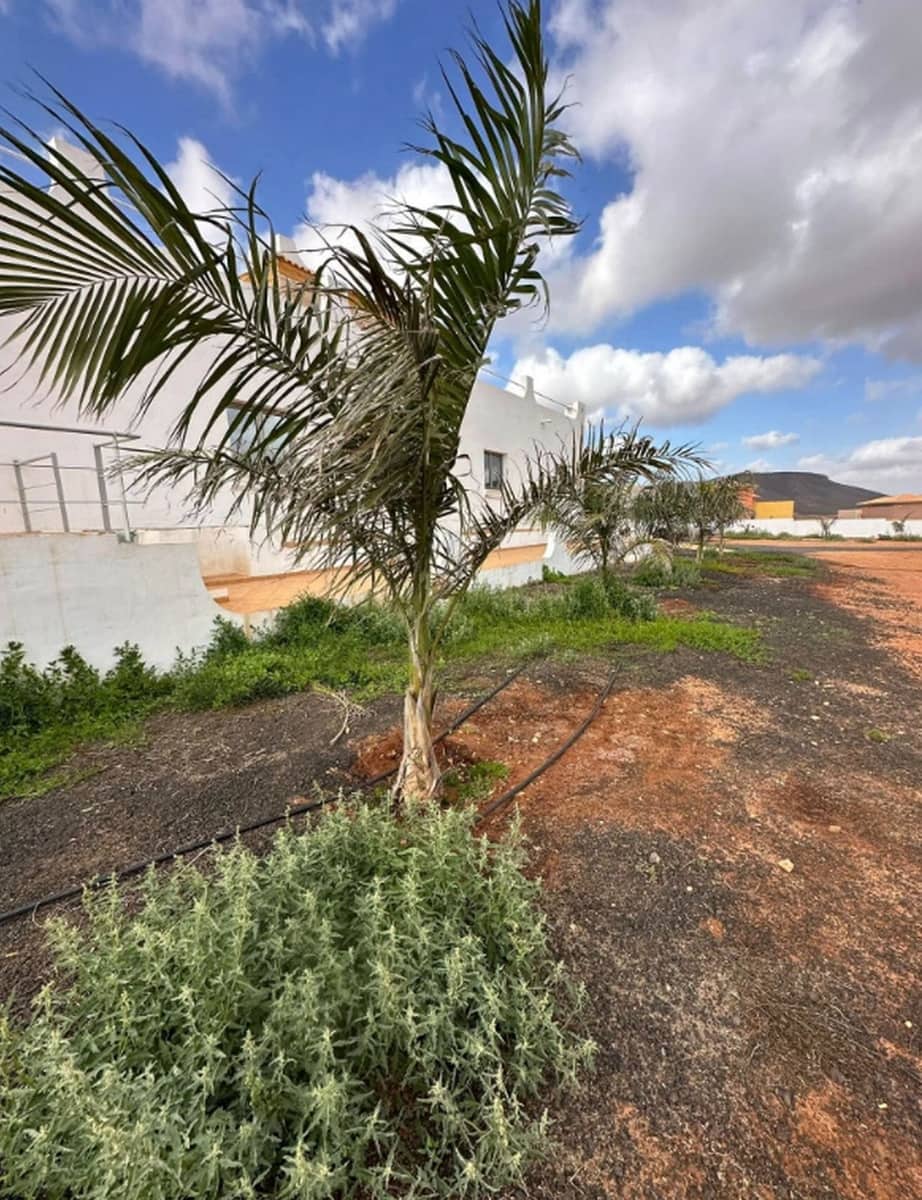 5 bedroom Villa for sale in Triquivijate with garage - € 590,000 (Ref: 9839108)