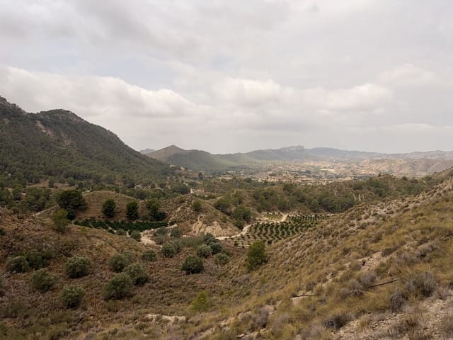 3 soverom Finca/Herregård til salgs i Gea y Truyols, Murcia by med svømmebasseng garasje - € 449 000 (Ref: 9845314)