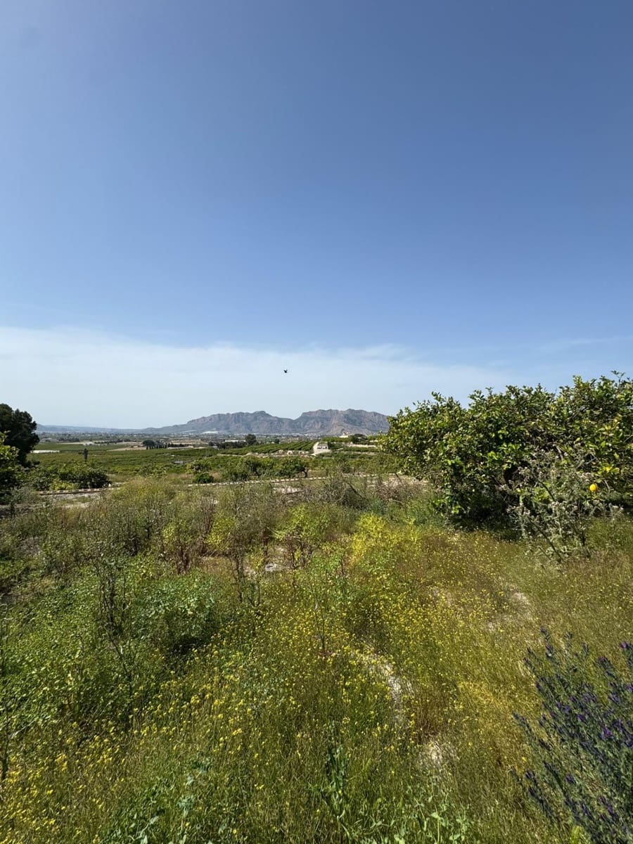 1 camera da letto Finca/Casa di Campagna in vendita in Orihuela - 139.000 € (Rif: 9851095)