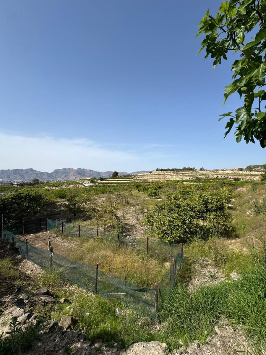 1 camera da letto Finca/Casa di Campagna in vendita in Orihuela - 139.000 € (Rif: 9851095)