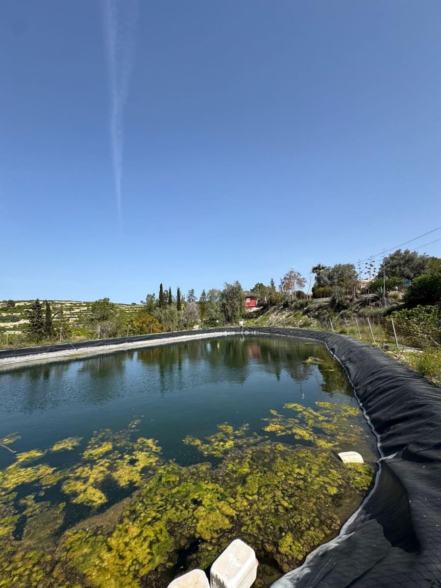 1 camera da letto Finca/Casa di Campagna in vendita in Orihuela - 139.000 € (Rif: 9851095)