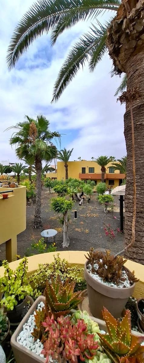 1 bedroom Apartment for sale in Corralejo with pool - € 219,000 (Ref: 9884440)