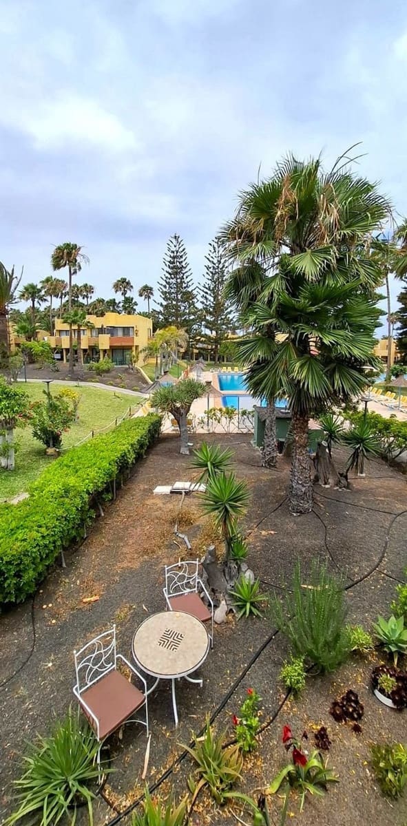 1 bedroom Apartment for sale in Corralejo with pool - € 219,000 (Ref: 9884440)