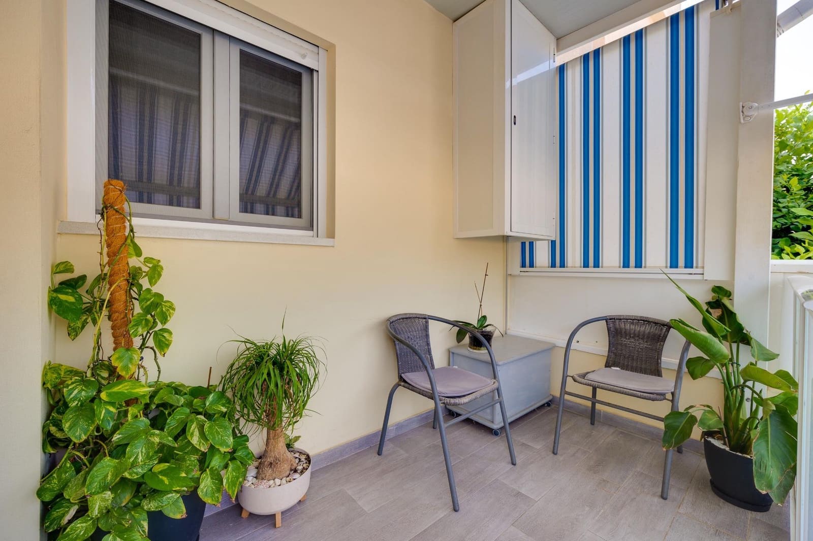 2 Zimmer Haus zu verkaufen in Torrevieja mit Pool - 185.000 € (Ref: 9930409)