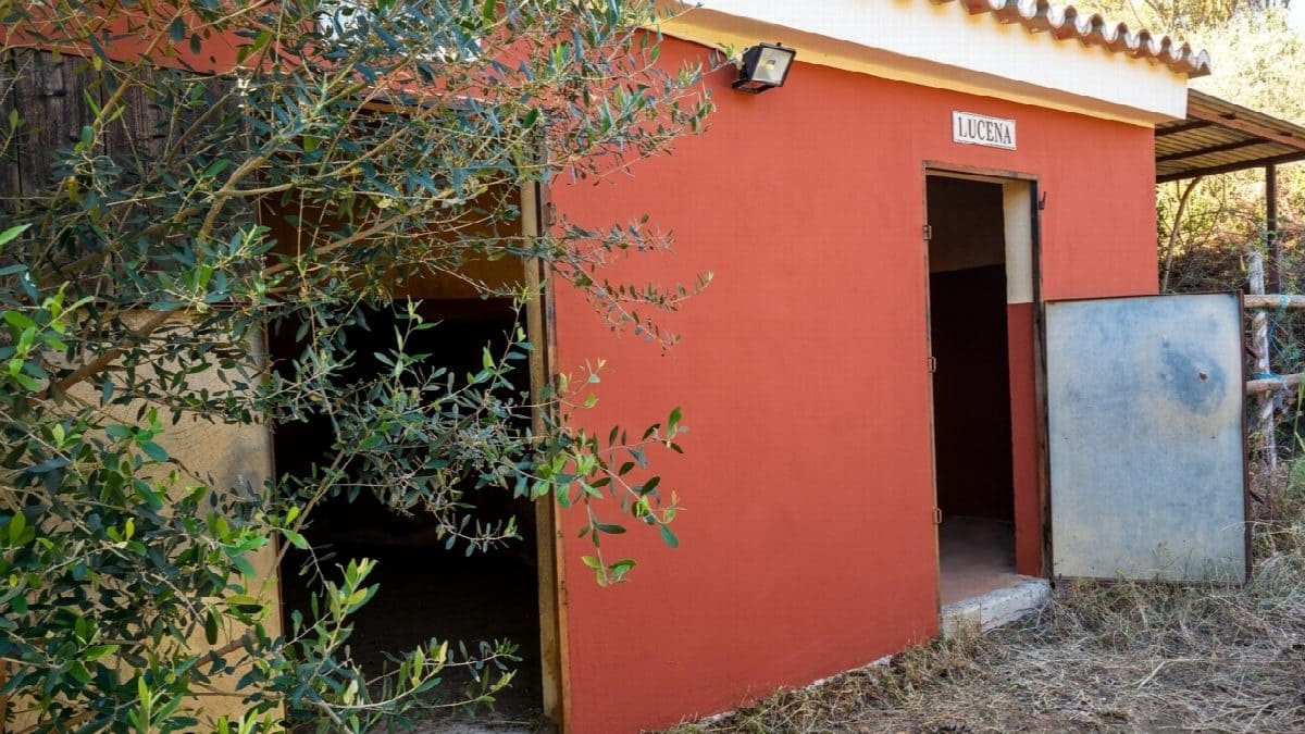 4 bedroom Villa for sale in La Cala de Mijas with garage - € 795,000 (Ref: 9937861)