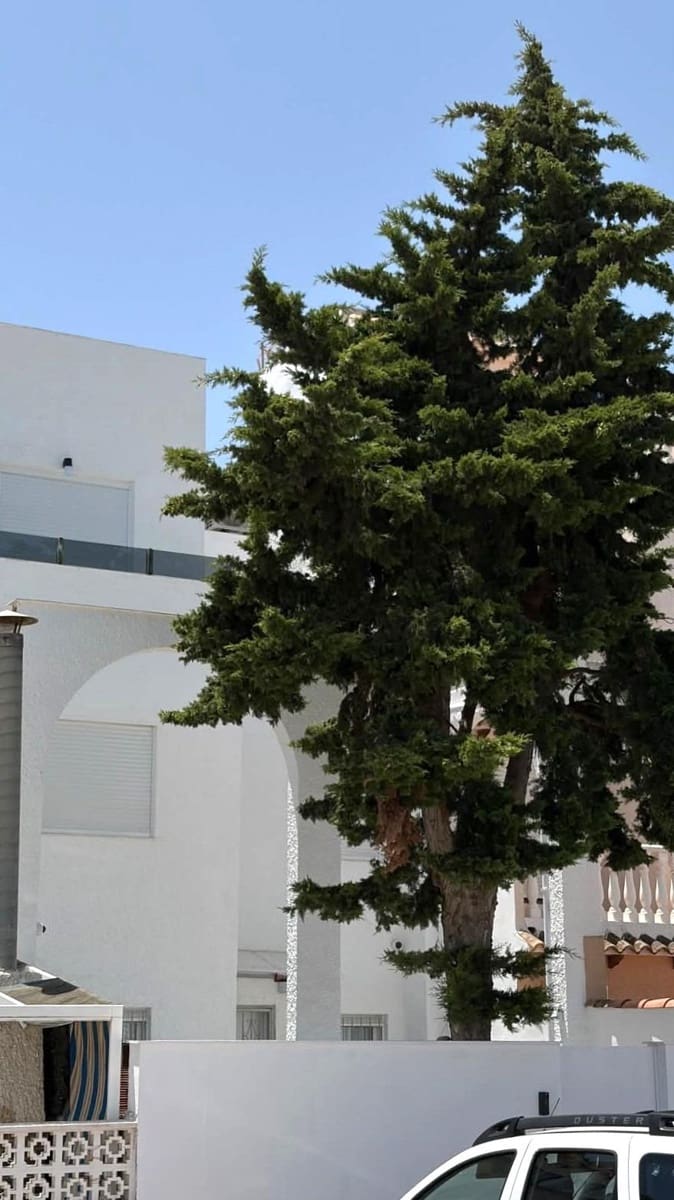 3 bedroom Townhouse for sale in Torrevieja - € 259,900 (Ref: 9943425)
