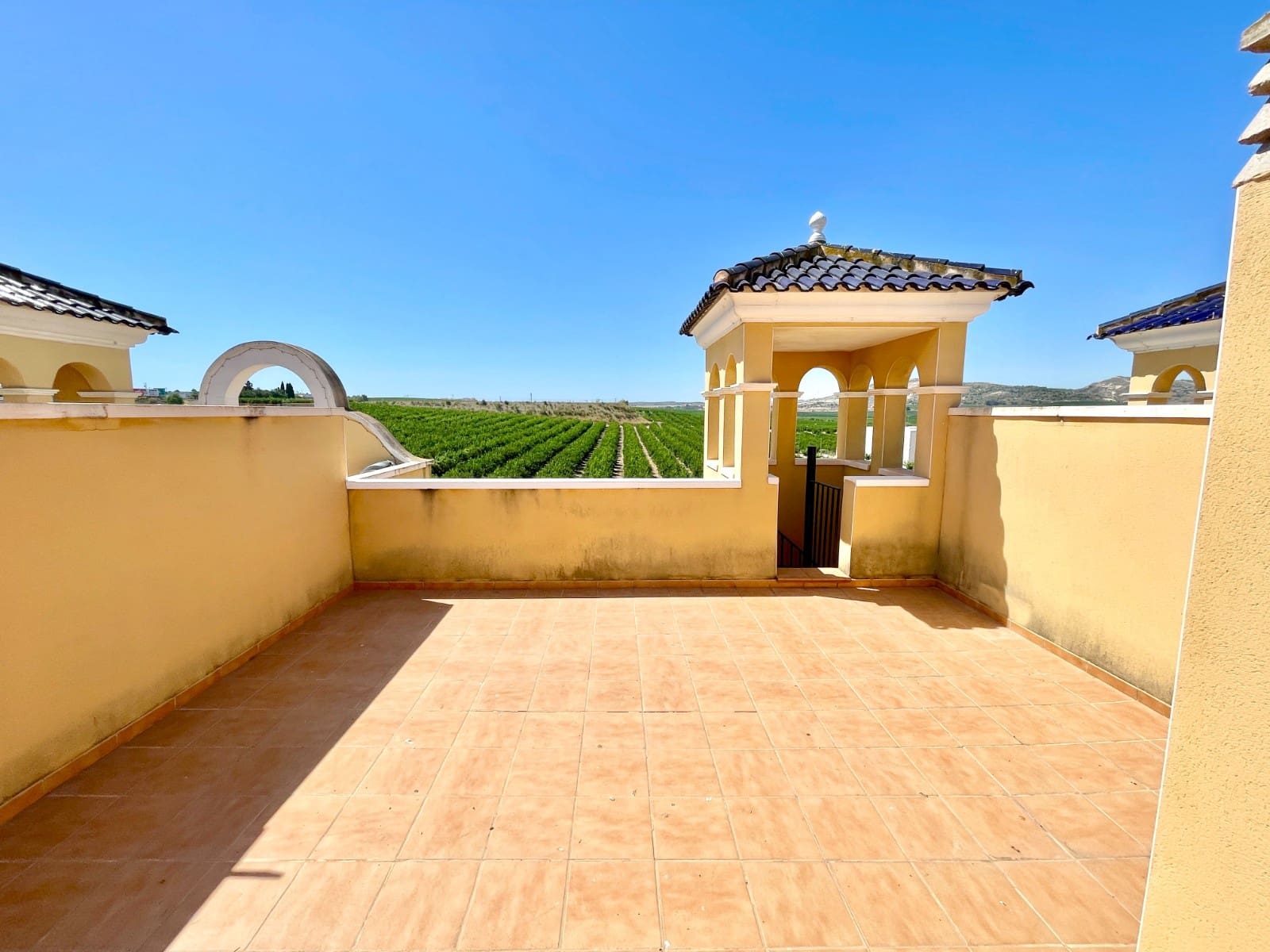 2 Zimmer Penthouse zu verkaufen in Algorfa - 157.900 € (Ref: 9945399)
